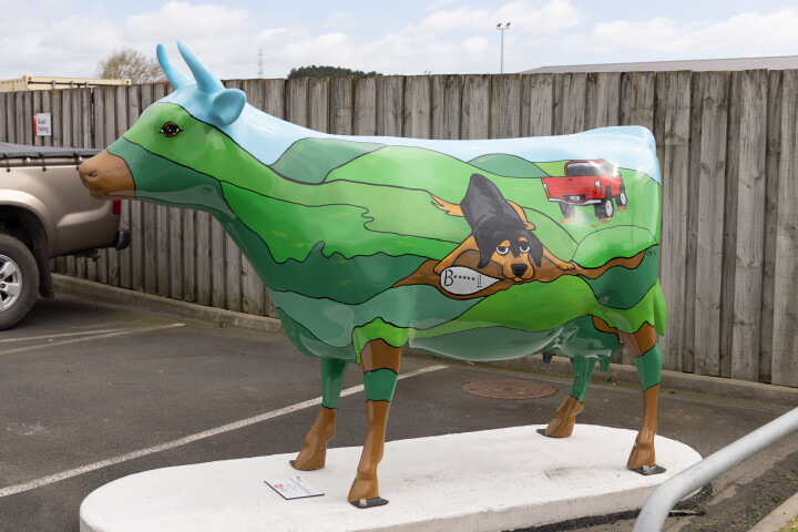 Morrinsville