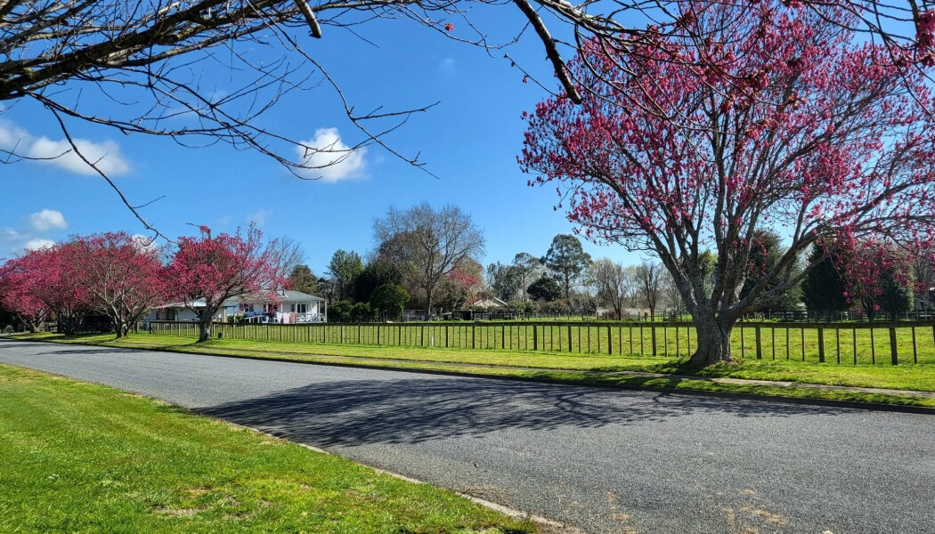 24 Temm Road, Te Poi, Matamata